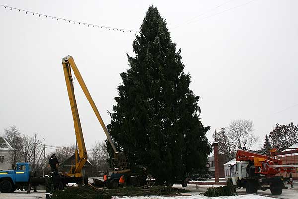 В год Козы новогодние елки — из Козовки и Козигорки