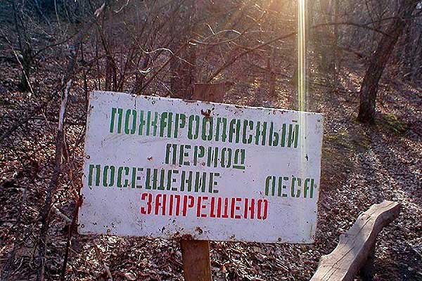 Снова введен запрет на пребывание в лесах