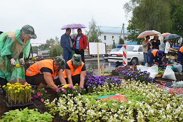 В помощь городу: озеленители области внесли вклад в благоустройство Толочина (+фото)