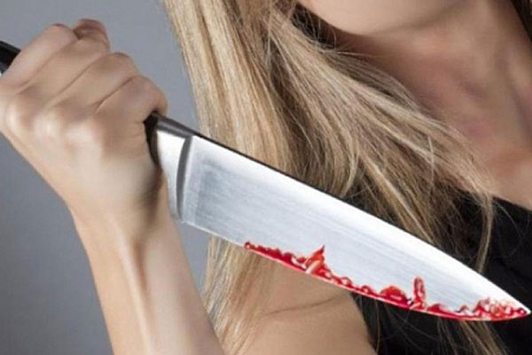 В Толочинском районе женщина ранила ножом своего сожителя