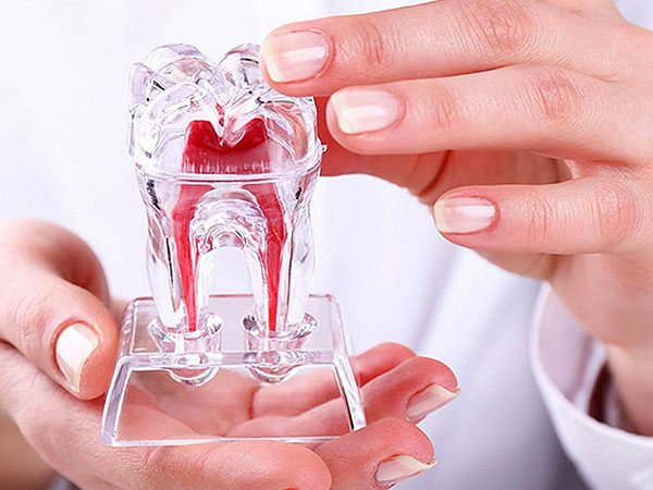 Основные симптомы, методы лечения, рекомендации стоматолога по профилактике пульпита