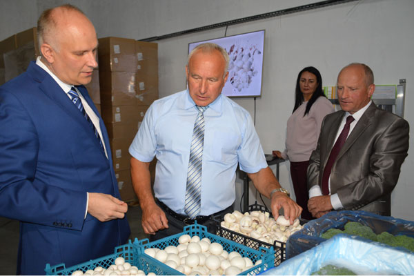 Предприятие по производству грибов открылось в Коханово (+фото)