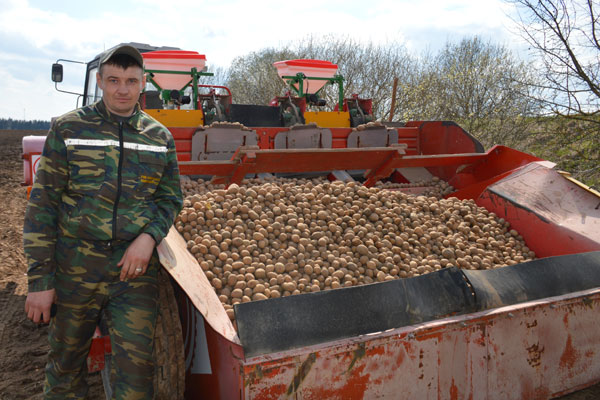 К посадке картофеля приступили на полях толочинского консервного завода