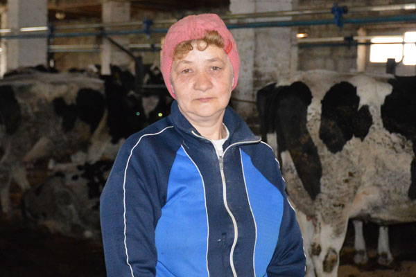Радуют достижениями животноводы молочнотоварной фермы «Ромашково»