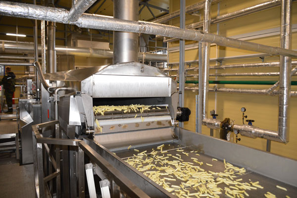 На Толочинском консервном заводе производят замороженный картофель фри