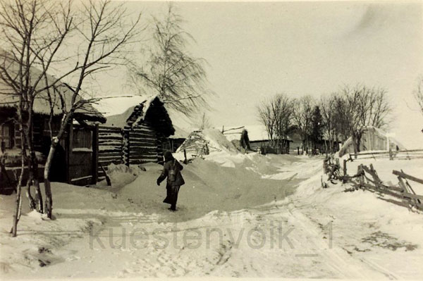 Зима 1942 года в Толочинском районе