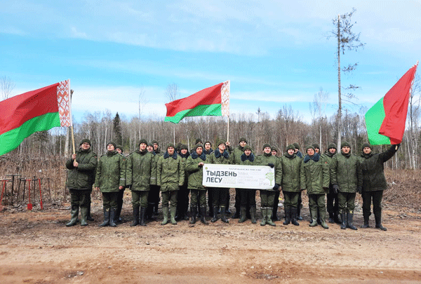 Военнослужащие из Жодино участвуют в посадке леса в Толочинском районе