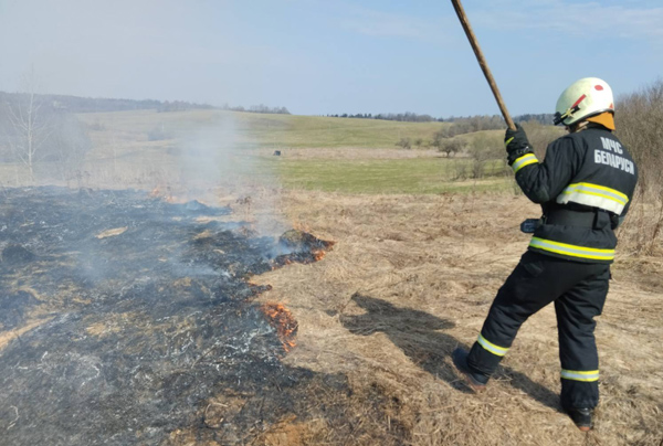 Палы травы: сезон открыло возгорание возле деревни Лисовщина