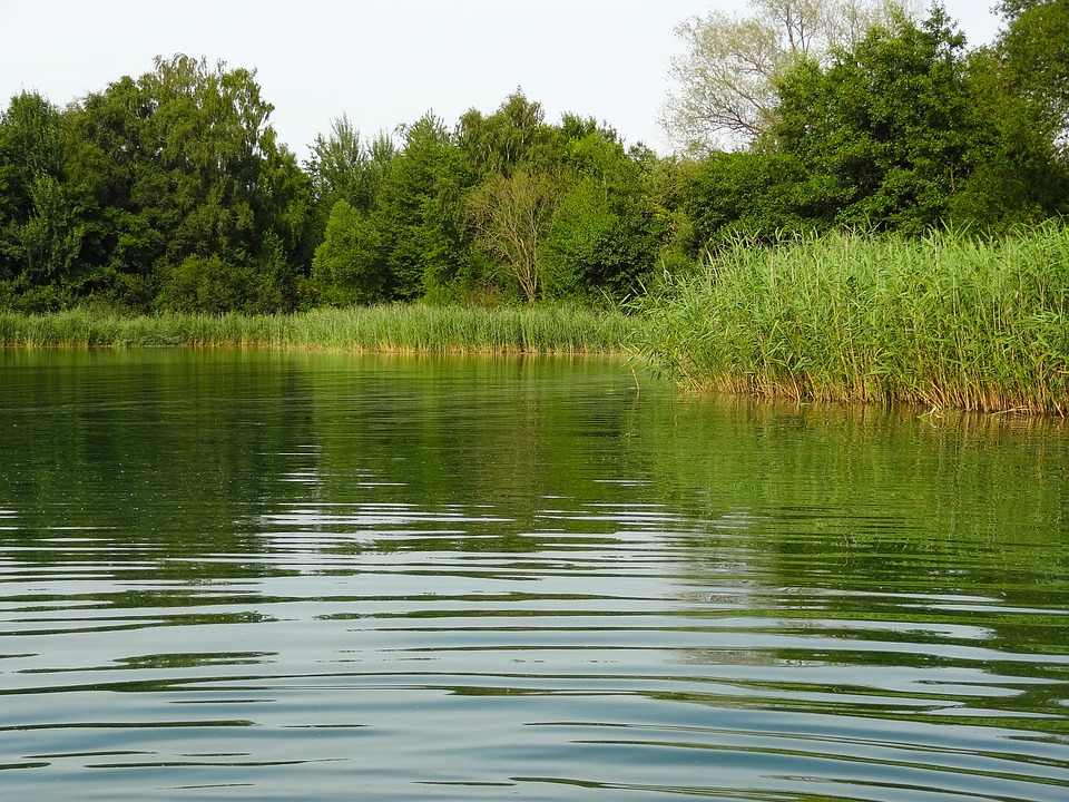 Вода в реках Рогачевка и Соколянка соответствуют гигиеническим нормативам