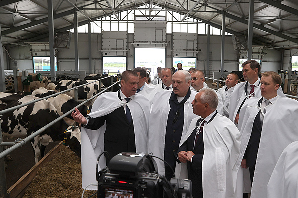 Тема недели: Лукашенко ознакомился с ситуацией в сельском хозяйстве